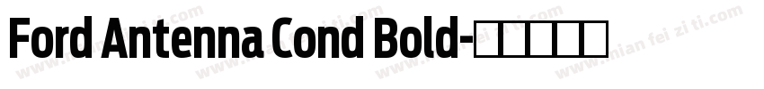 Ford Antenna Cond Bold字体转换